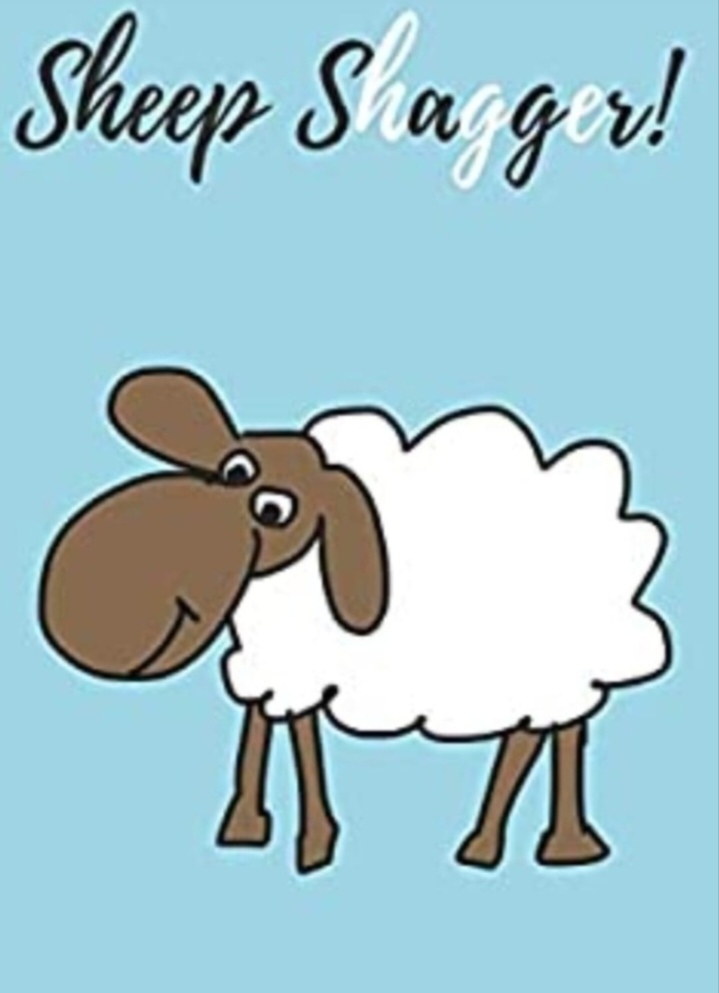 MichelleBool1's tweet photo. @Walsall_Ram @dcfcofficial https://t.co/fMz1WUBVhw