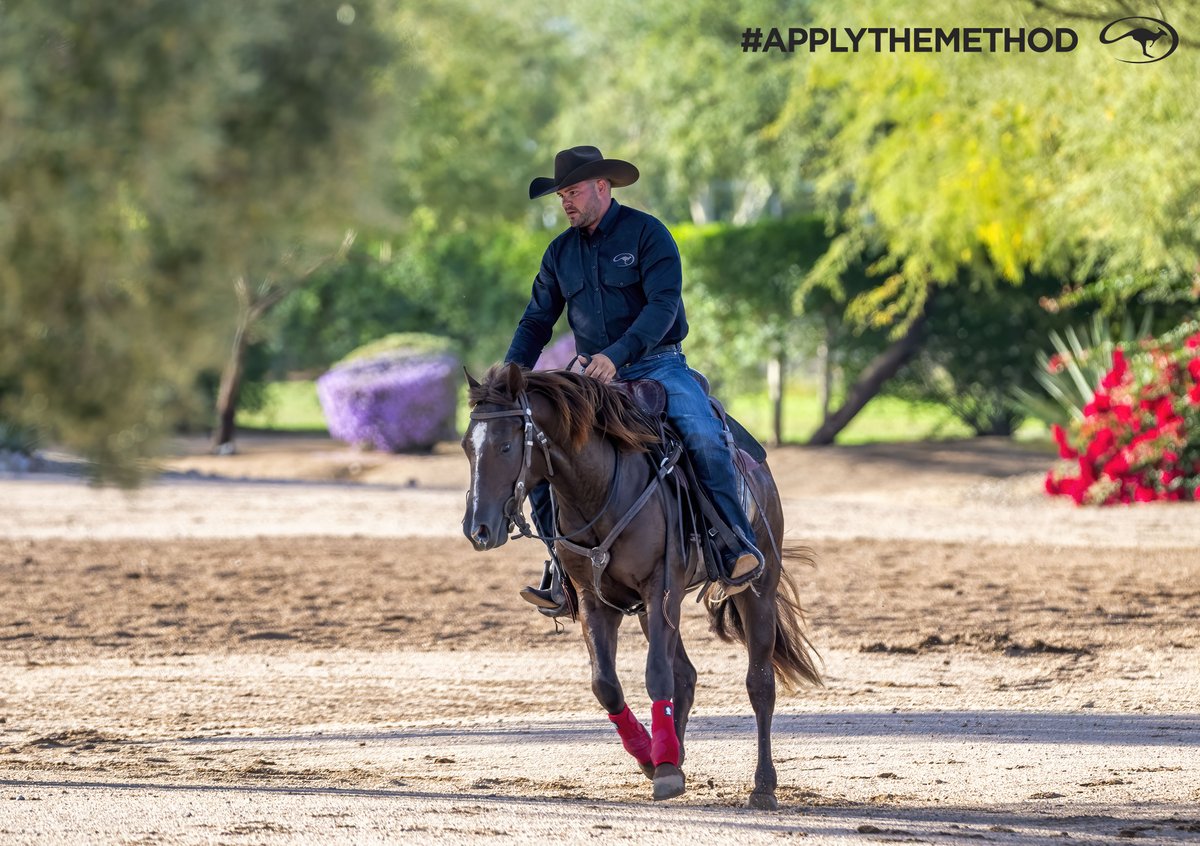 DownunderHorse's tweet photo. Q&amp;A: Horse Moves Off While Practicing One Rein Stops
Read Clinton's answer ➡️ https://t.co/09c8WqR4oE
#ApplyTheMethod https://t.co/iMExzgzLP5