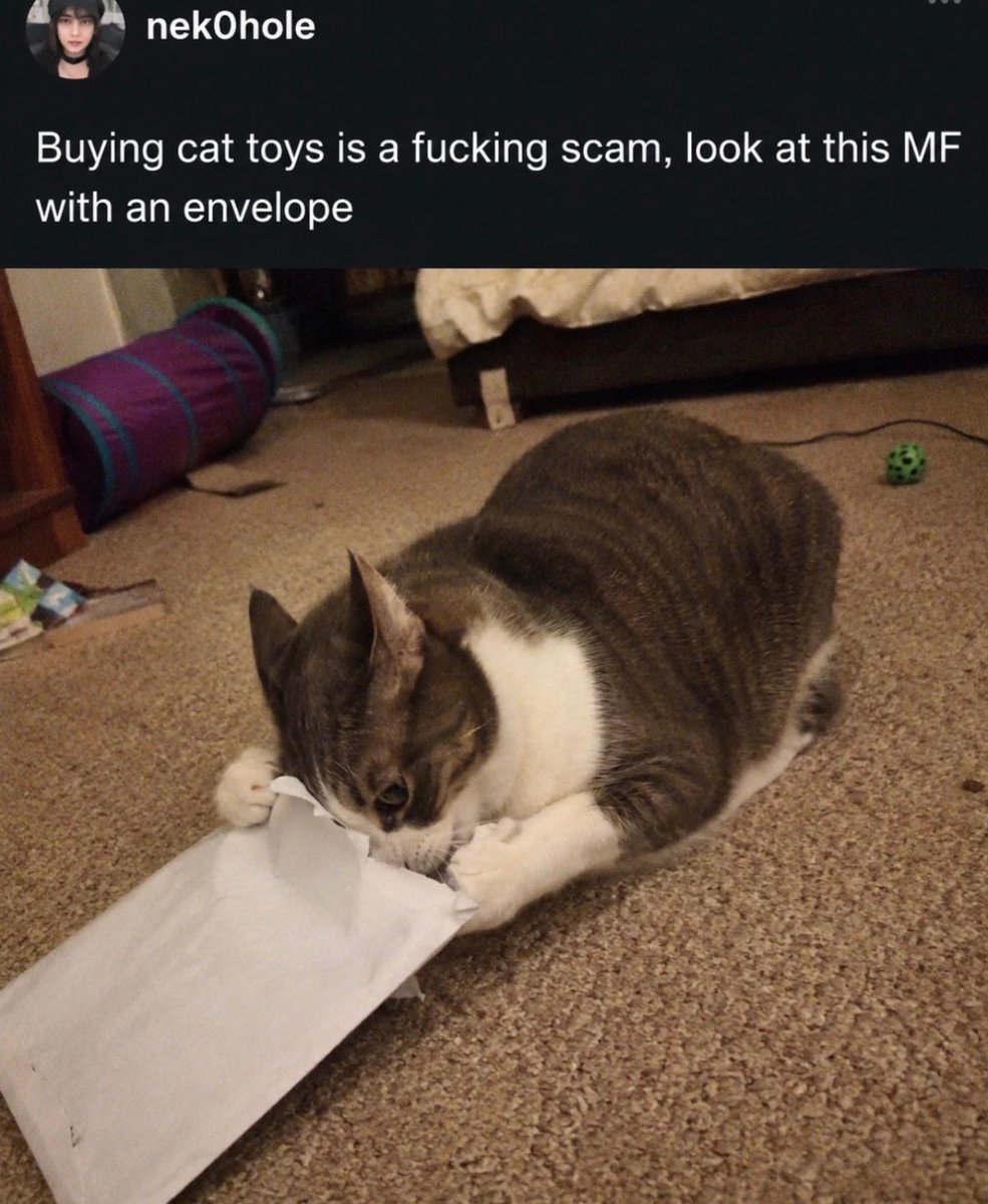 RespectfulMemes's tweet photo. https://t.co/PleBV4aOI5