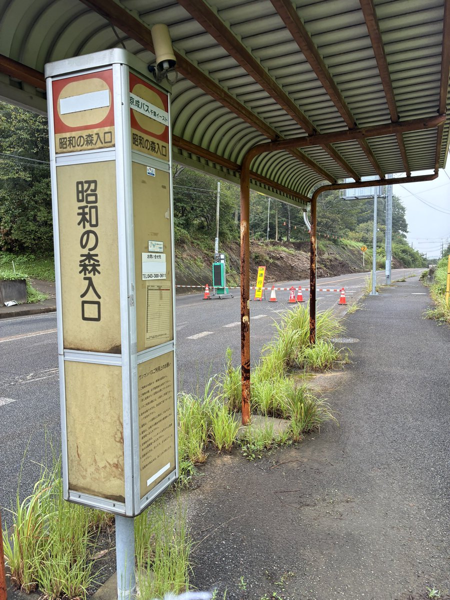 jbpaml's tweet photo. 車両通行止めの大網街道（不通区間）をジョギングついでに歩いてきた。歩道は規制なし、車道のみ通行止め。手つかずで擁壁が歪む民有地っぽい崩落箇所や、片側が完全に崩れてブルーシートで覆われただけの現場も。素人目には復旧にはまだ時間がかかりそう。予想が外れるといいんだが。 #大網街道 https://t.co/7t5kChBDVe