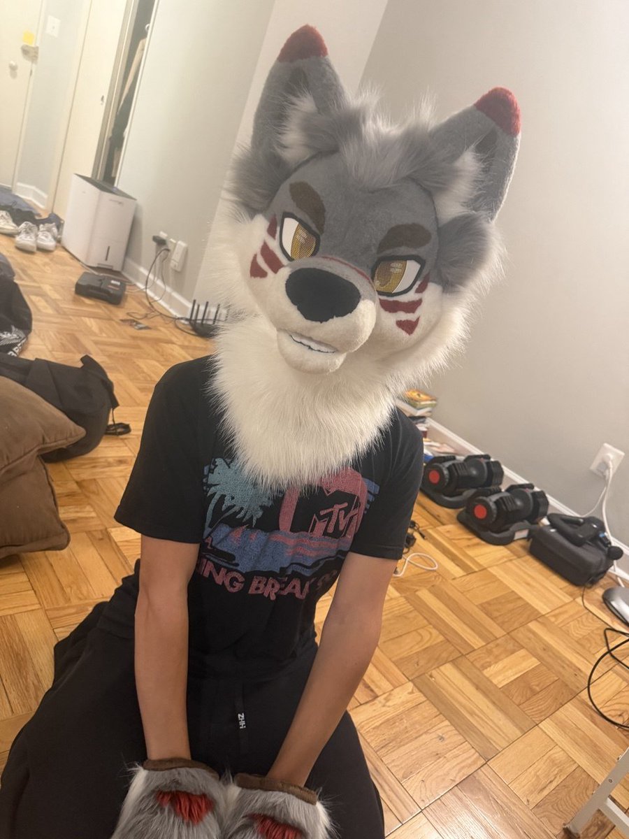 MediMutt's tweet photo. I'm Dakota the wolf! Wanna guess my favorite word? https://t.co/WvVjchp9y8