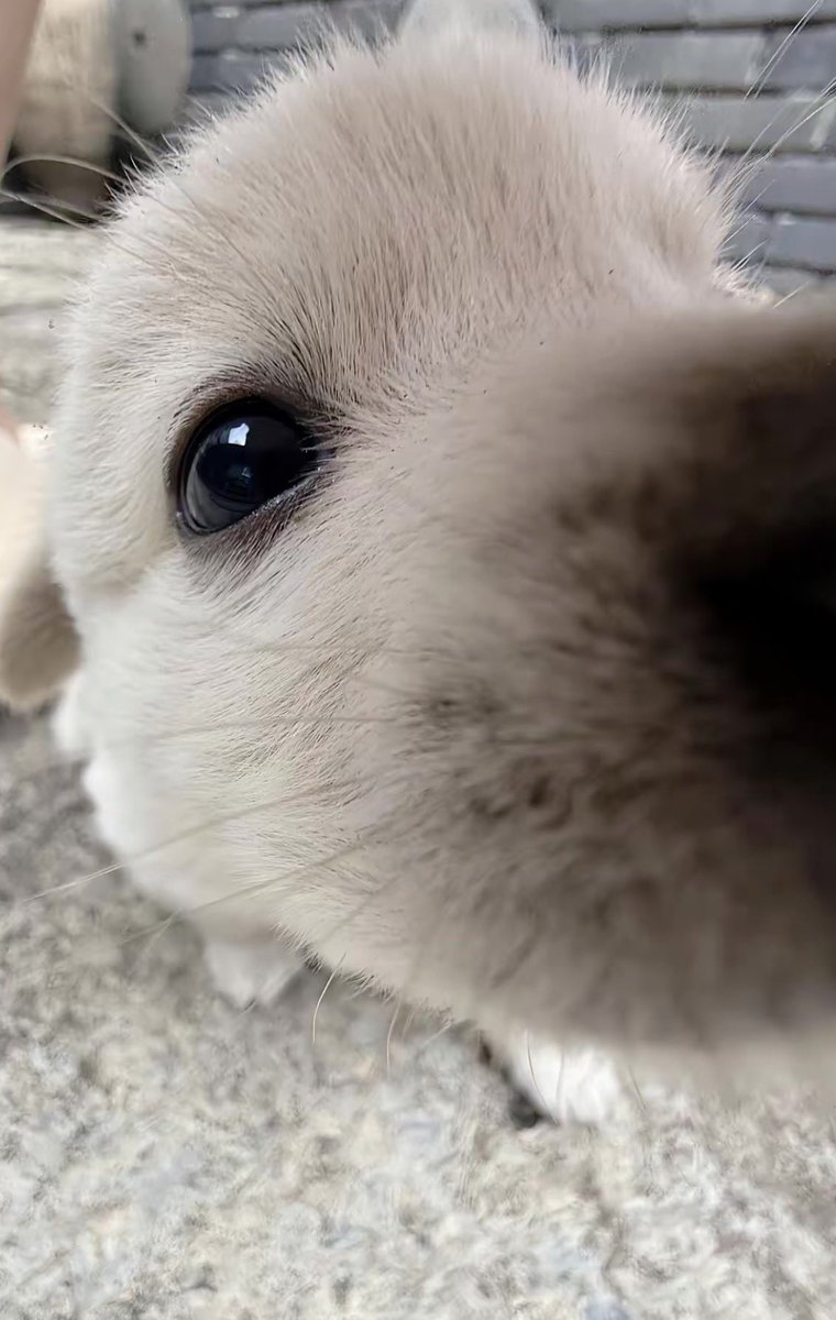 twaniimals's tweet photo. https://t.co/yQIrAnuTjA