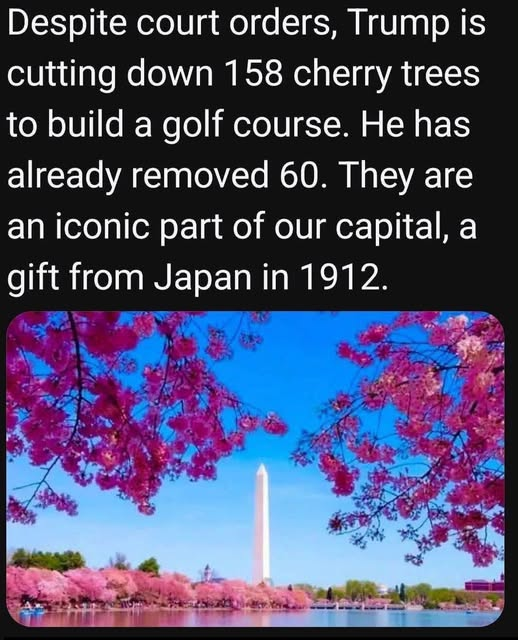 wildwahine808's tweet photo. https://t.co/nCTYxIYqag