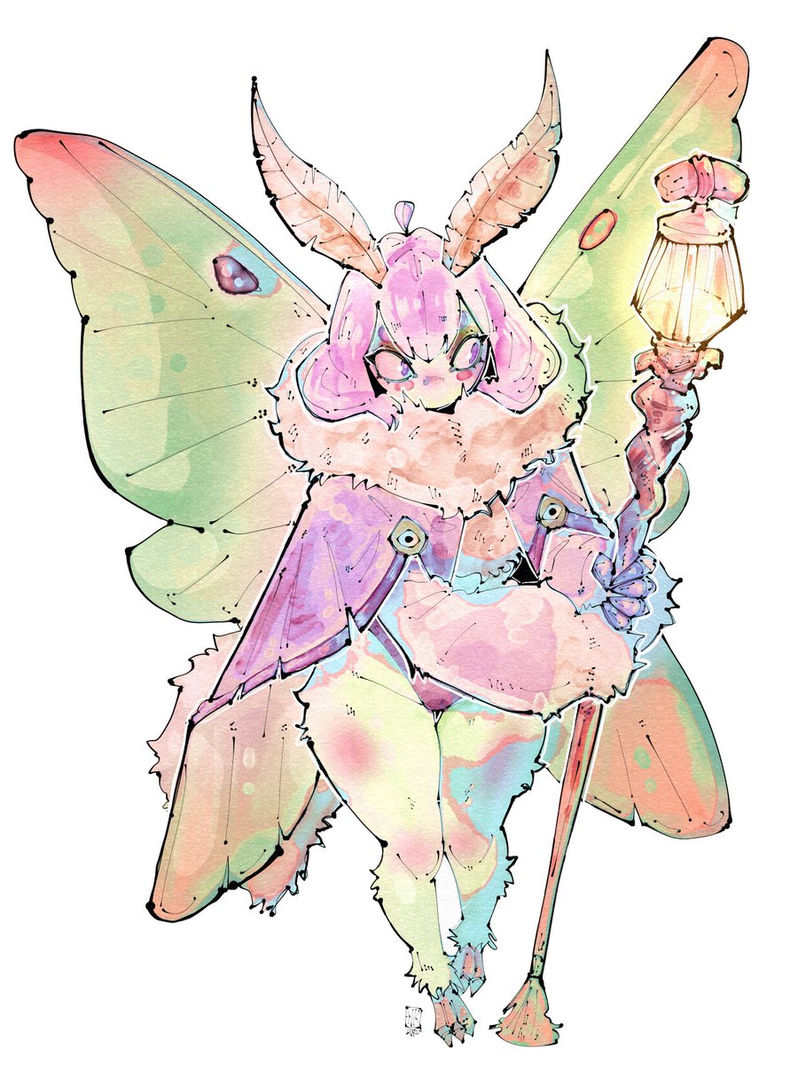 miregeist's tweet photo. Being a moth doesn't mean she can't be cute https://t.co/QXBKLvGzb4