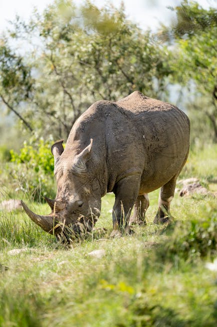 ShizukoRaffa's tweet photo. تفانيك إلى نجاح كبير. لقد اكتسبت وحدة عميقة سي��ودك بعد قراءة للموضوع هذا المقال. marleen lanpher https://t.co/y22JJle29Z