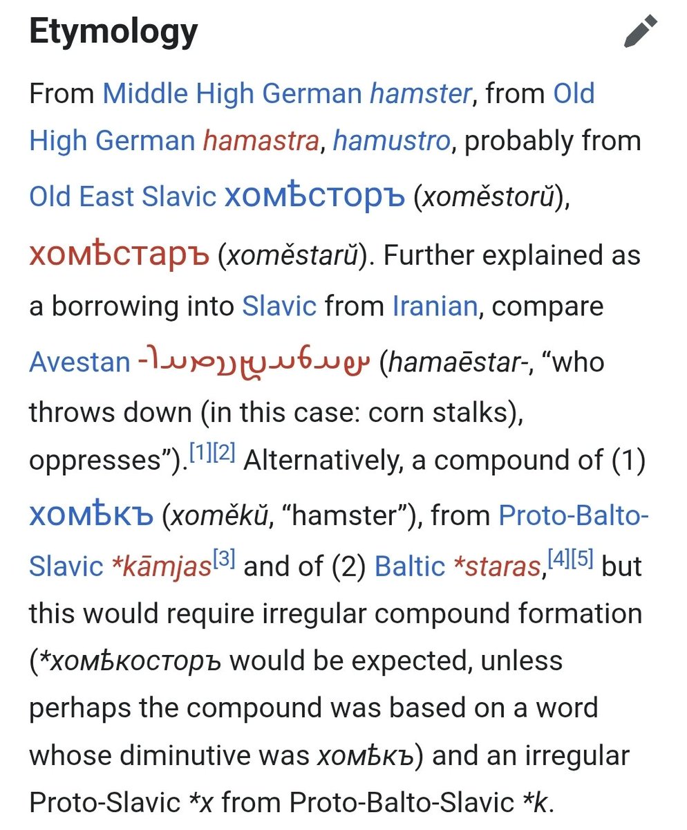 catagelastos's tweet photo. Hamster, from an Indo-Iranian source meaning "the one who oppresses the corn stalks" https://t.co/tiv4EMYHz5