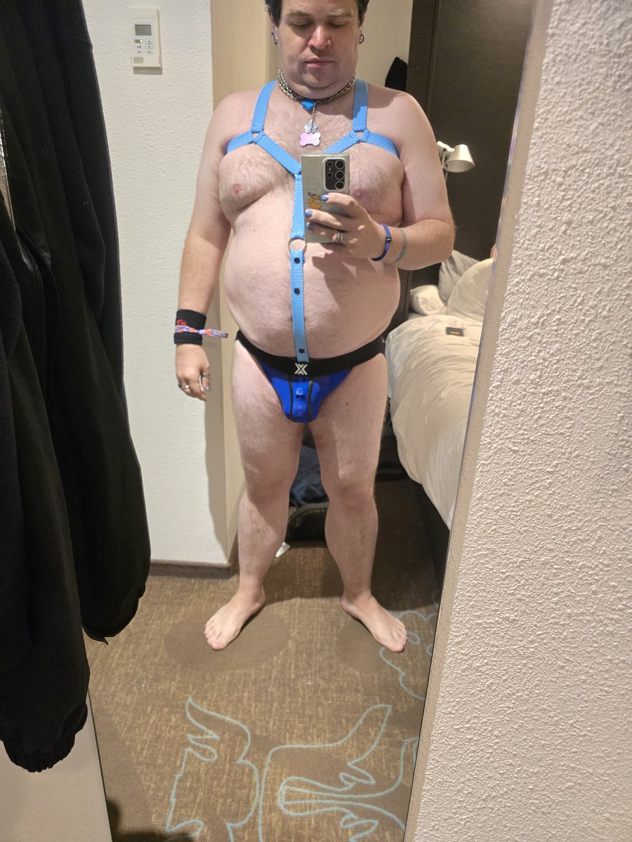 PupCerberus361's tweet photo. Ready for if o lying in had a harness https://t.co/unOV7EdM4V