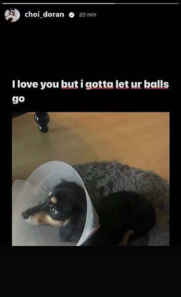 Abyss_ix's tweet photo. 💔💔  LOVE IS LETTING GO! Doran from T1 about the neutering of his little puppy:

"i love you but i have to get rid of your balls" https://t.co/4m7fxOuCGT