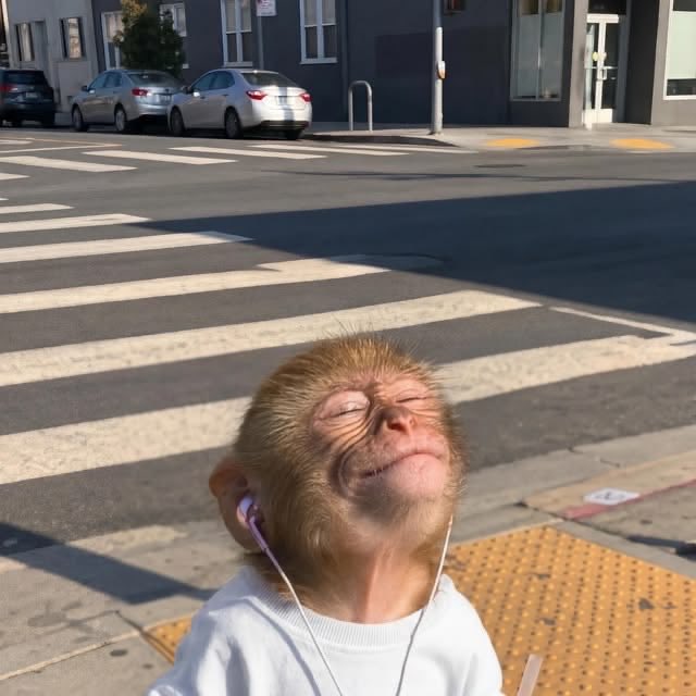 lul222i's tweet photo. con música y solcito la vida es buena https://t.co/vAkjqkFwpL