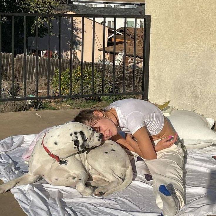 maria1340568942's tweet photo. Waiting on my k9 friend to have some fun together WMO on TELEGRAM

https://t.co/dgHXsHEriU
https://t.co/wOKbgMfdCg

#zoophillia #zoosarevalid #beastiality #dogknot #zooprideisvalid #zoophile https://t.co/DwwUhOPIUw