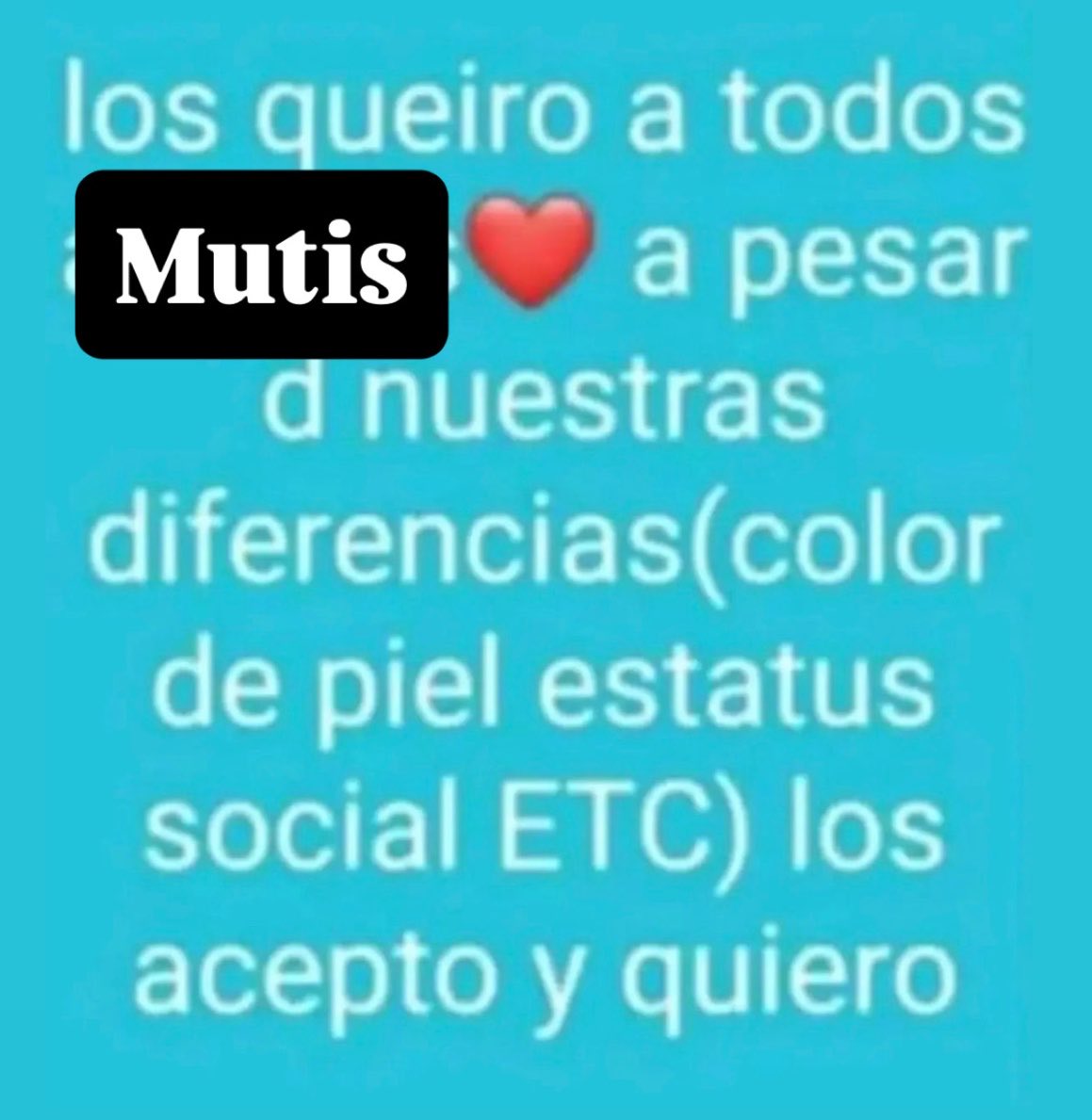 Pao_scn's tweet photo. ❤️ https://t.co/B3pmhBGzPg
