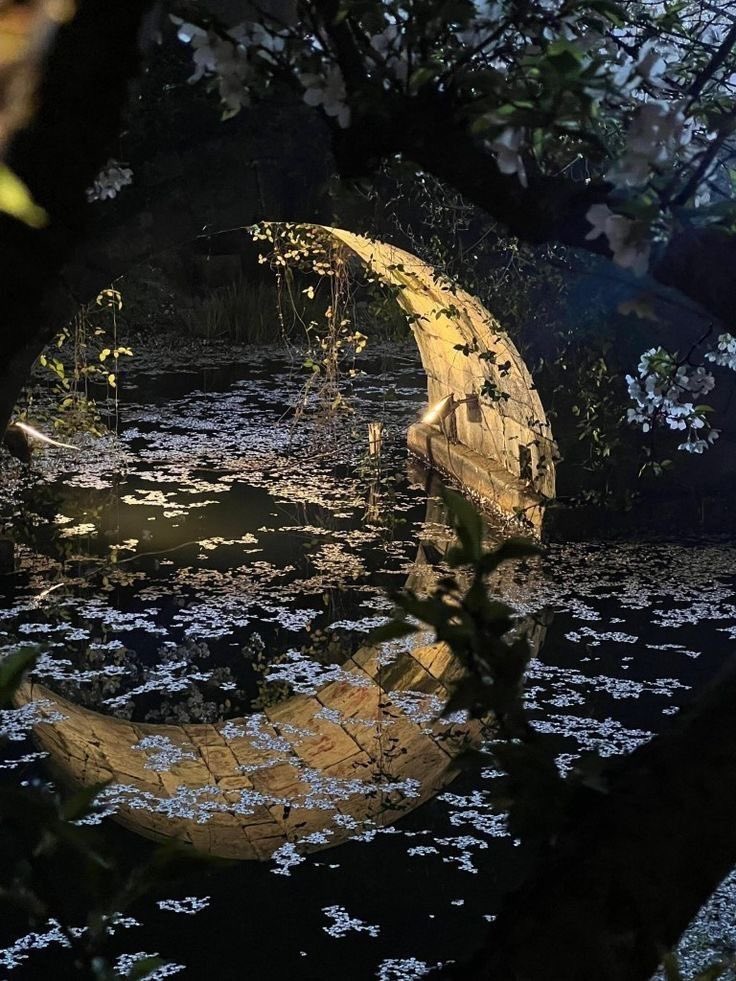 sereinvibee's tweet photo. moon bridge https://t.co/ByGG9VZlCC