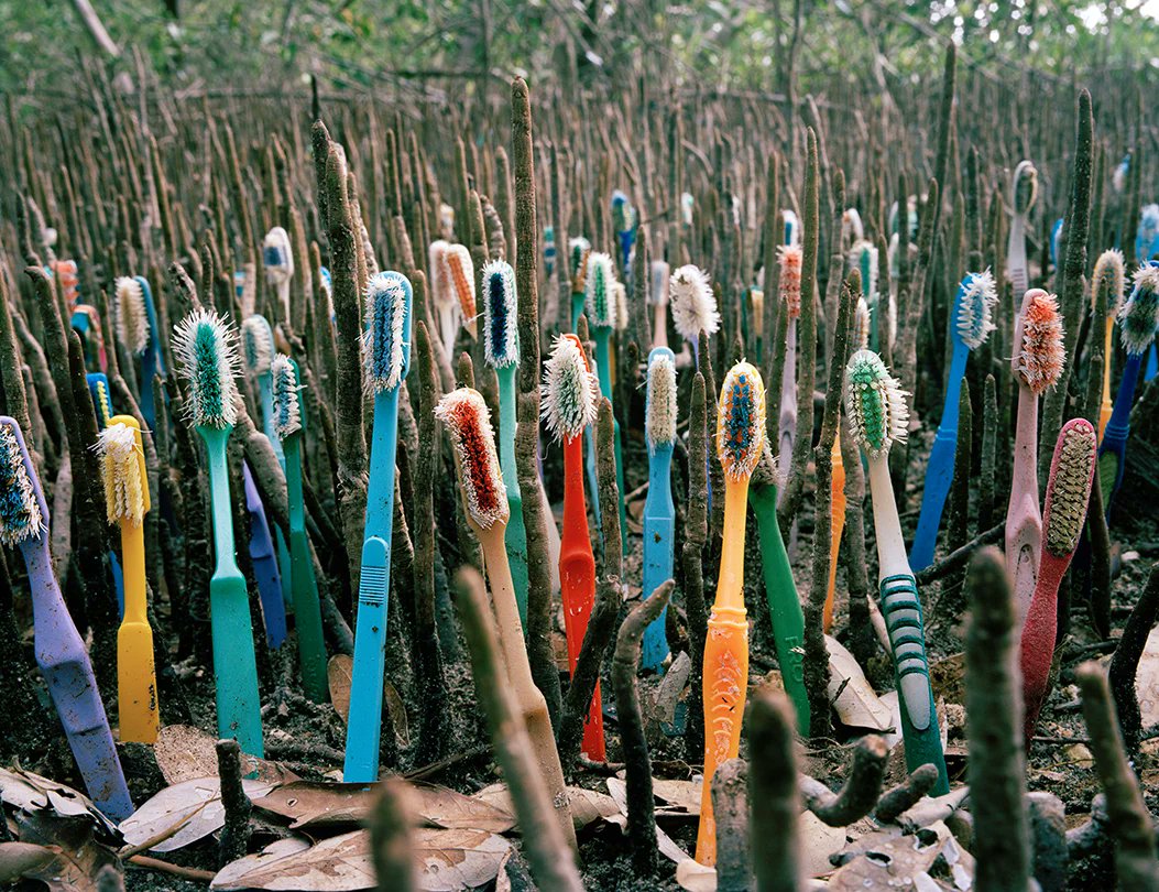 ArtsVoyage's tweet photo. 8/30 #NationalBeachDay
Encourage beach clean-ups & #StopPlasticPollution to help save #wildlife #marine life. Fab #Mexican #artist Alejandro Duran's “Washed Up” deals with ocean plastic pollution @alejandroduran
@officialbeachday https://t.co/v7GPAO3bD9