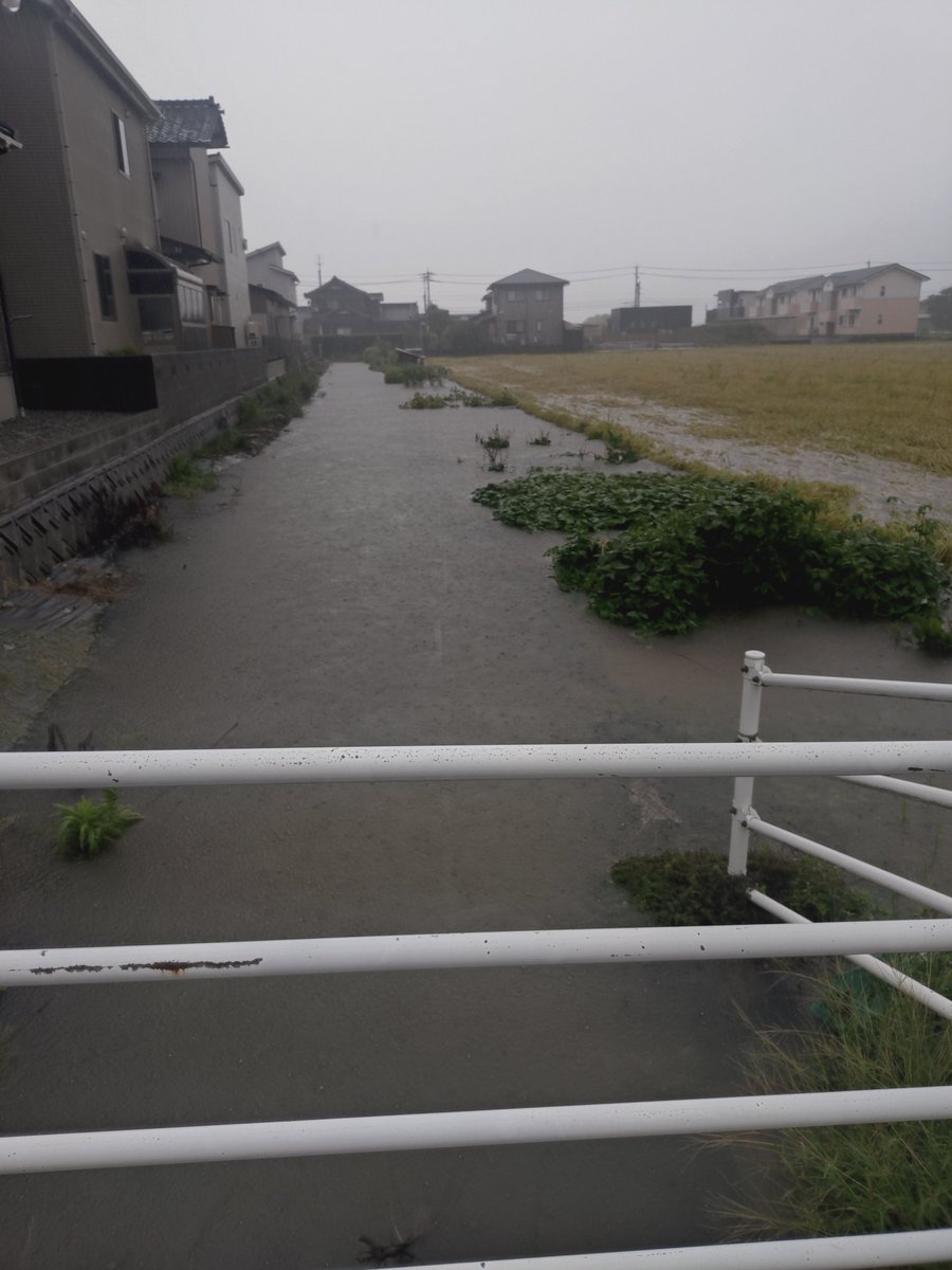 Naoki3275's tweet photo. あーあ家の近くの用水路が水で溢れてる。 https://t.co/jGBJJ9gQa6