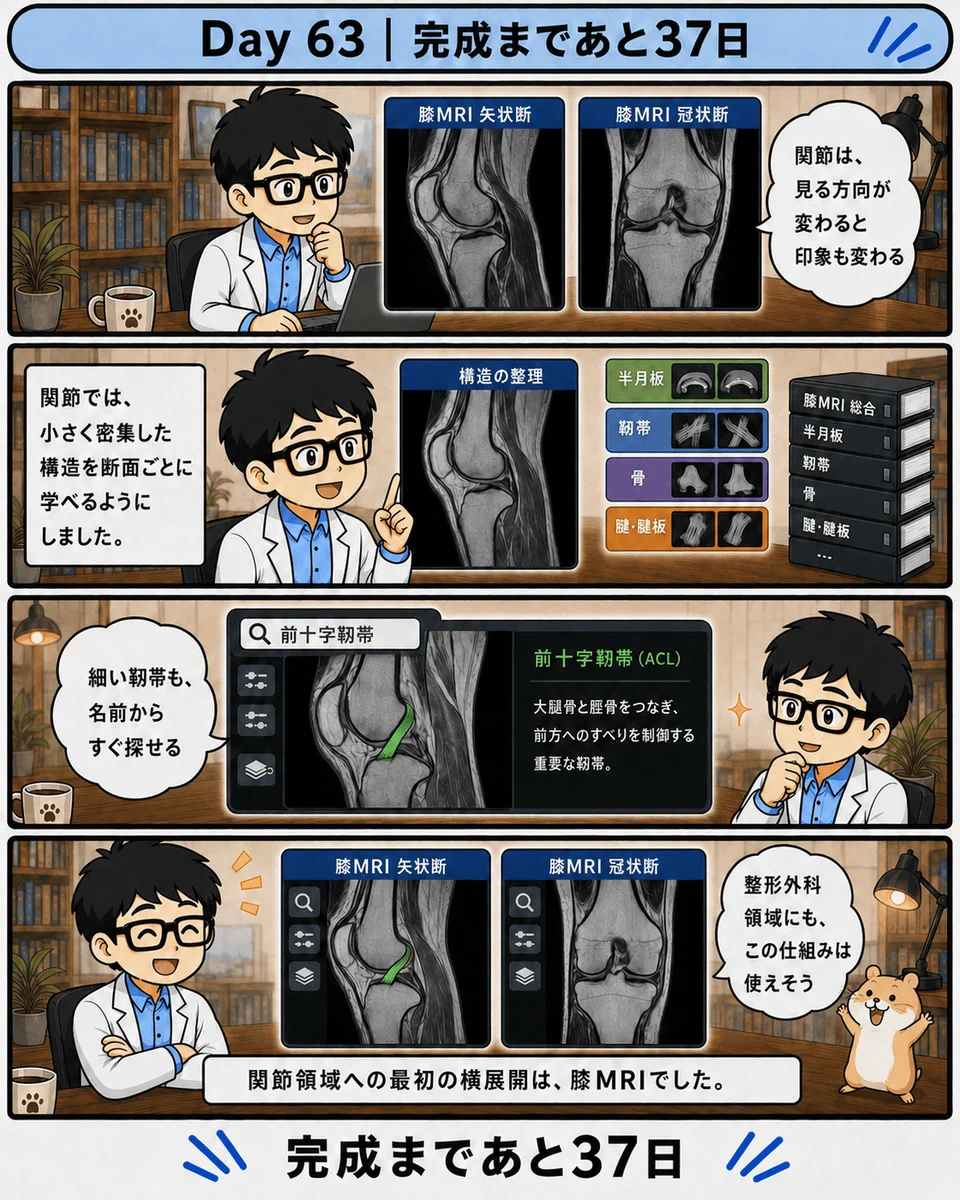 ごろ~にゃ@画像診断cafe on X: 