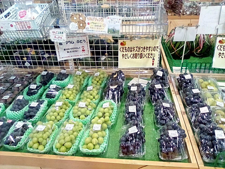 Alps_Horigane's tweet photo. おはようございます
あいにくの雨☔降りですが😿
地元のぶとう🍇がたくさん入荷しています‼️
果物がおいしくなる秋がもうすぐ来ますね❗
お足もとに気をつけてぜひお立ち寄りください。

#ぶとう　#安曇野市　#ほりがね　#道の駅 https://t.co/Pxt8oa6o7J
