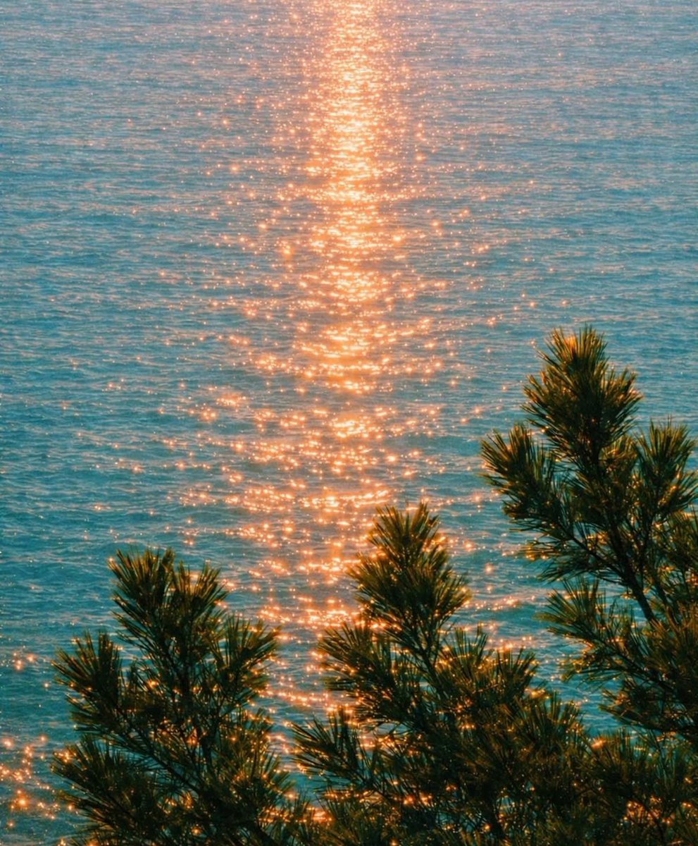 naturehealyou's tweet photo. when the sun makes the water glitter https://t.co/wwlbvVBQET