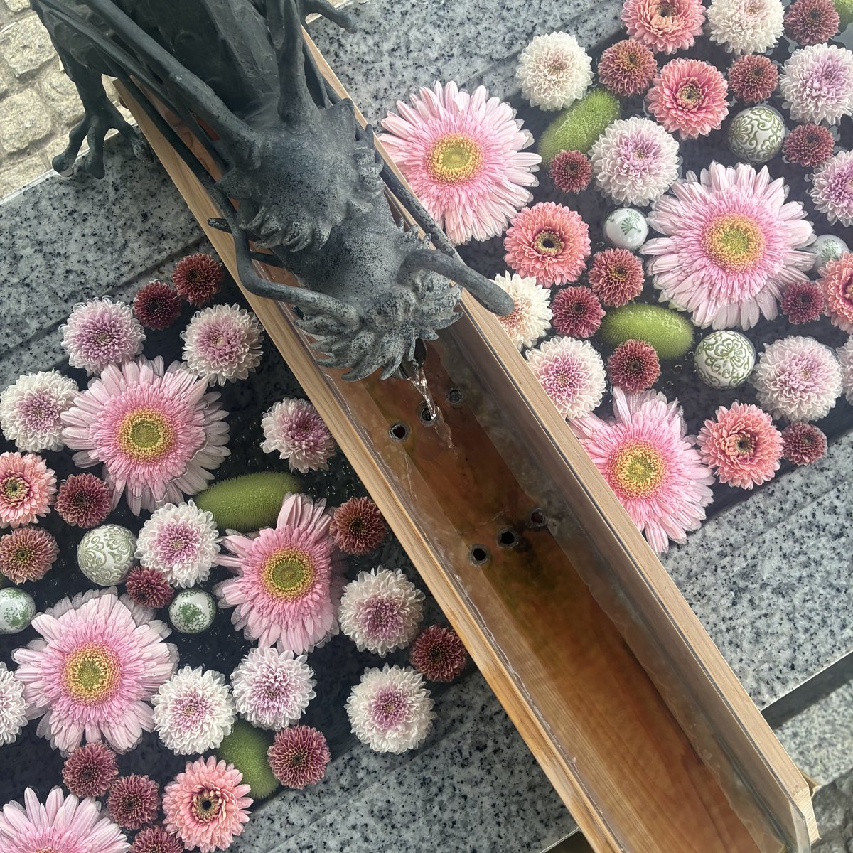 dicipeu's tweet photo. 今週の花手水

＊川越八幡宮 https://t.co/qYgLh0C70b