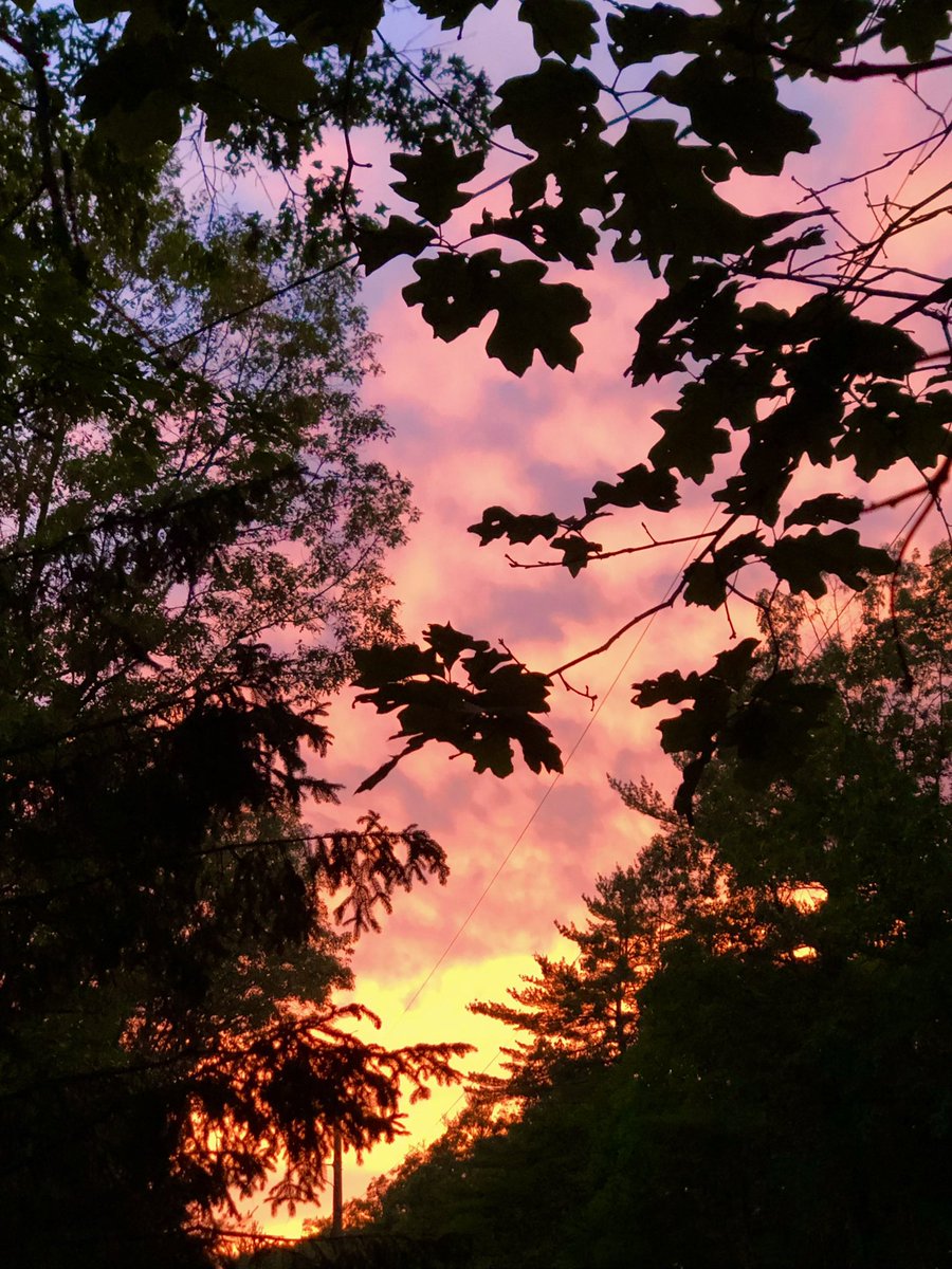 just_chantel_7's tweet photo. things to be grateful for 🩷 https://t.co/r2glznOdiX