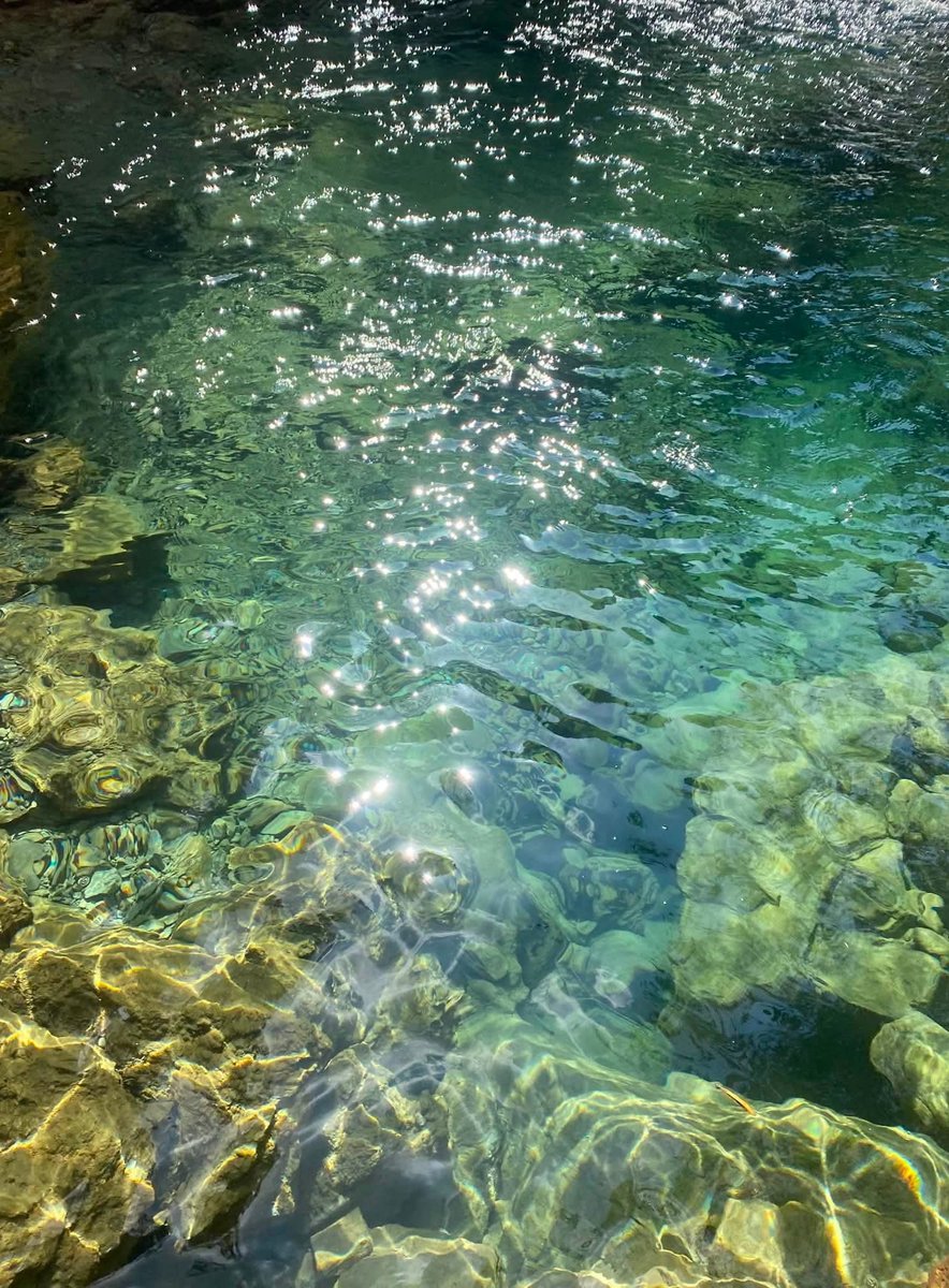 RahalaAtlas's tweet photo. The sun didn’t reflect. It broke in shame before this beauty.
#CrystalWaters #UntouchedBeauty #NatureWins` https://t.co/SdT62Ocz5d