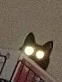 subkusopen's tweet photo. ねこの写真は画質が悪い方がいいとされている
見てくれてありGATO https://t.co/6Ymb7NLYQS