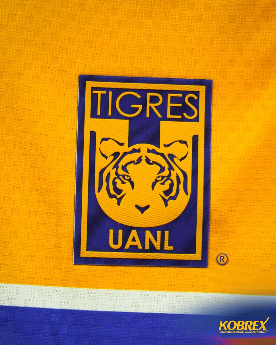 TigresOficial's tweet photo. 💛💙 ¡La de los colores más lindos del mundo!

@KobrexOficial https://t.co/U6KwEvRPJg