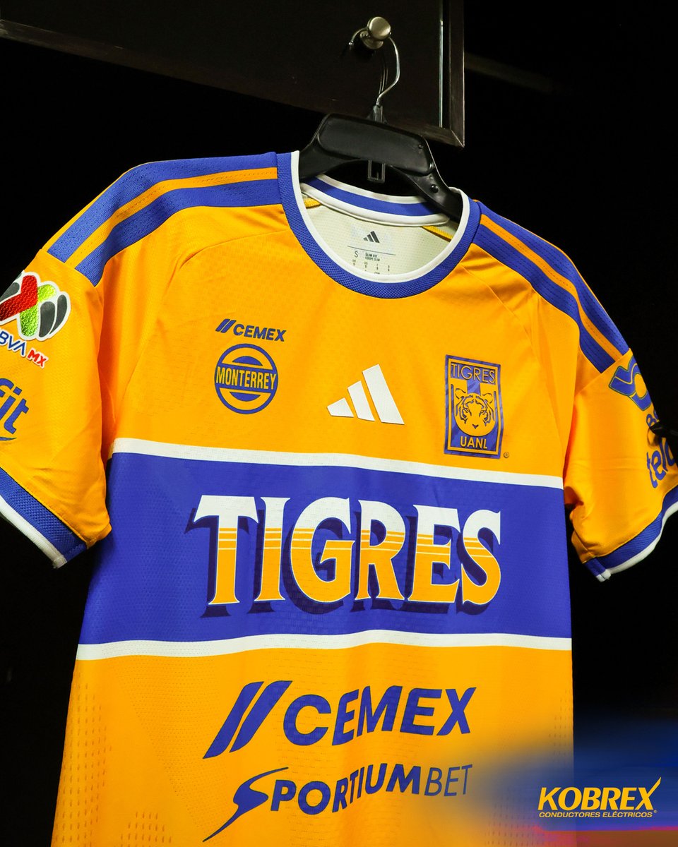 TigresOficial's tweet photo. 💛💙 ¡La de los colores más lindos del mundo!

@KobrexOficial https://t.co/U6KwEvRPJg