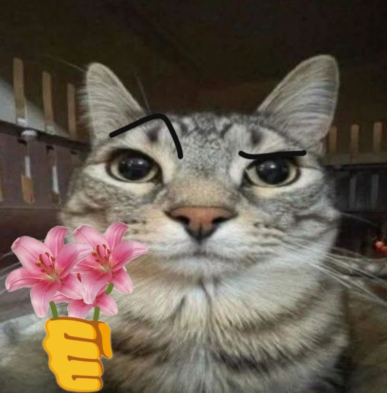 Kittk4tz's tweet photo. @digitalrxzors https://t.co/4tyvsEA9ix