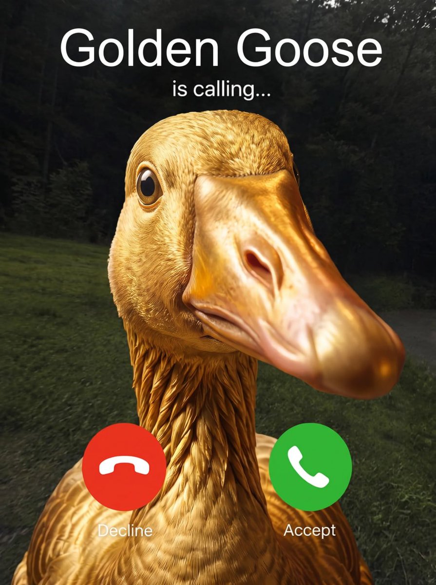 GoldenGooseRH's tweet photo. you better pick up, there's money to be made. https://t.co/JCiyO1trgE
