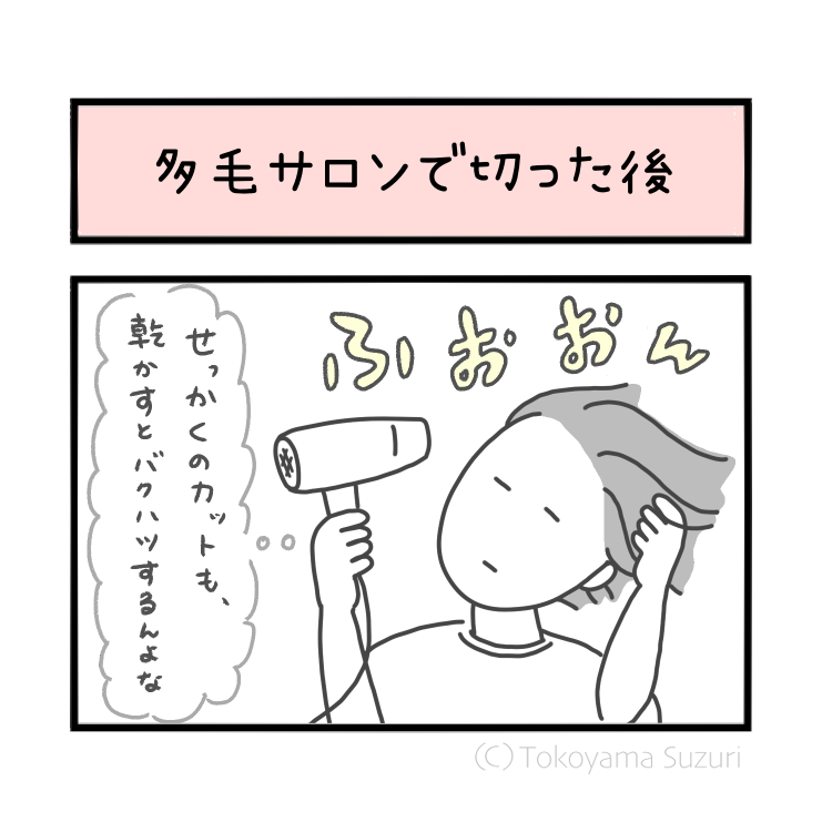 SuzTok_illust's tweet photo. 多毛専門サロンで髪を切った話、後編です。

カットの真価が問われる、家でブローした際のエピソード

髪を切ったいきさつを、漫画2本とイラスト付きの読みものにまとめています。近々 note にアップ予定。楽しみにしていてください〜✨

✂️『多毛サロンで切った後』 リンクはツリーに https://t.co/aEULq3rfzV