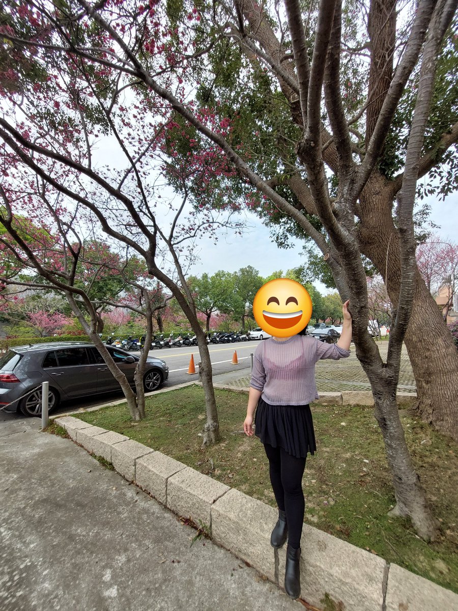 stillyou520's tweet photo. 帶婆賞花
穿着近乎透視的上衣
穿紅色內衣
這樣會太騷嗎？
路人會怎麼看她……
#野外露出 https://t.co/u9HcBPLsY5