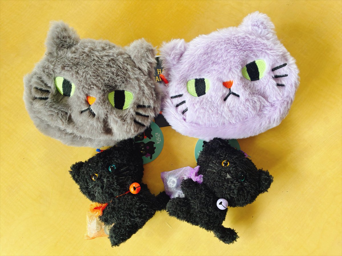 irohanihohedo_7's tweet photo. 毎年恒例の無事お迎えできました🎃👻 https://t.co/RPVbdkrkBQ