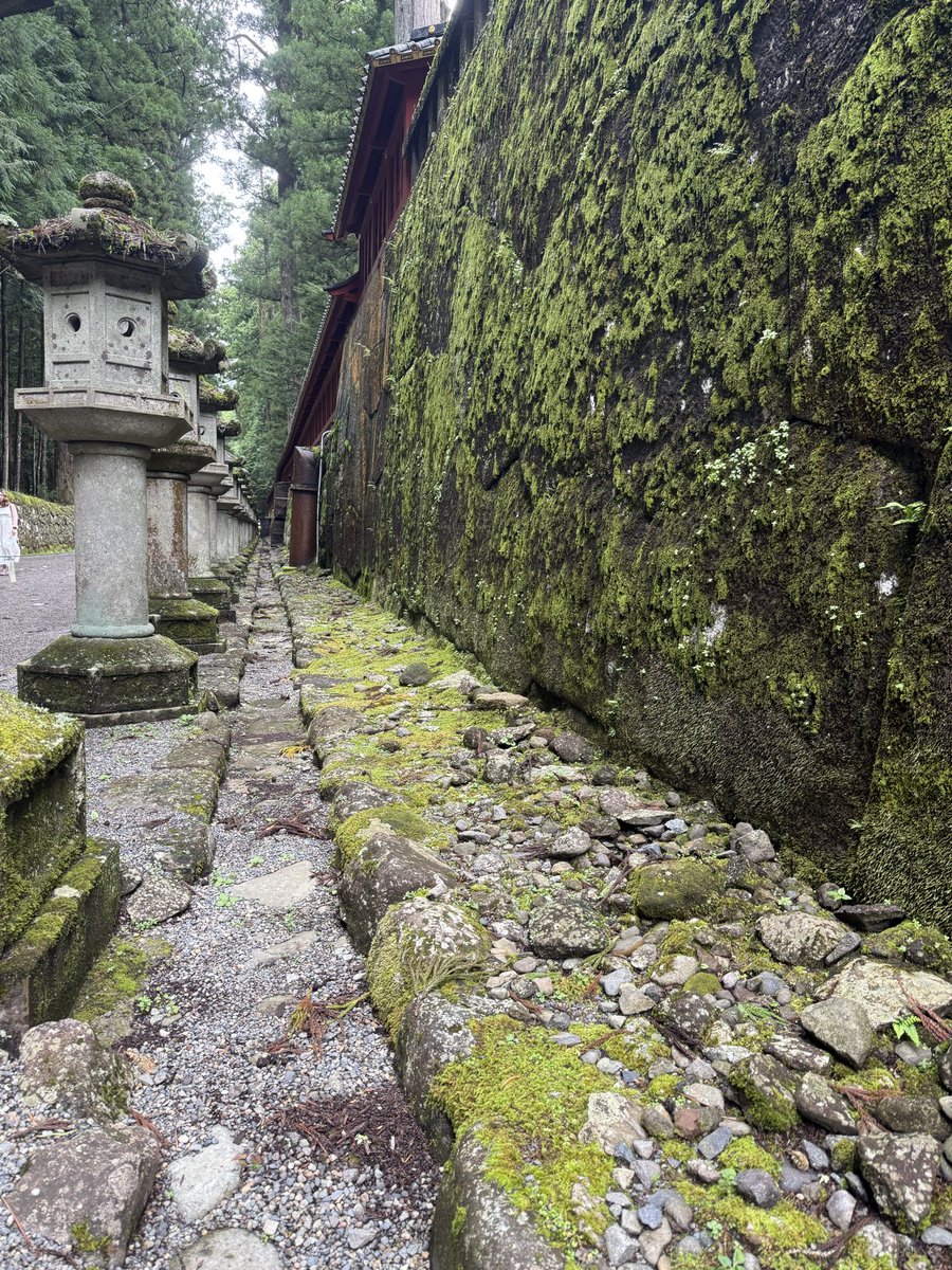 NKore5022's tweet photo. 生ける世界遺産
             歩く人間国宝が
世界遺産にやってきたっていう物語 https://t.co/kxw5wqt8cZ