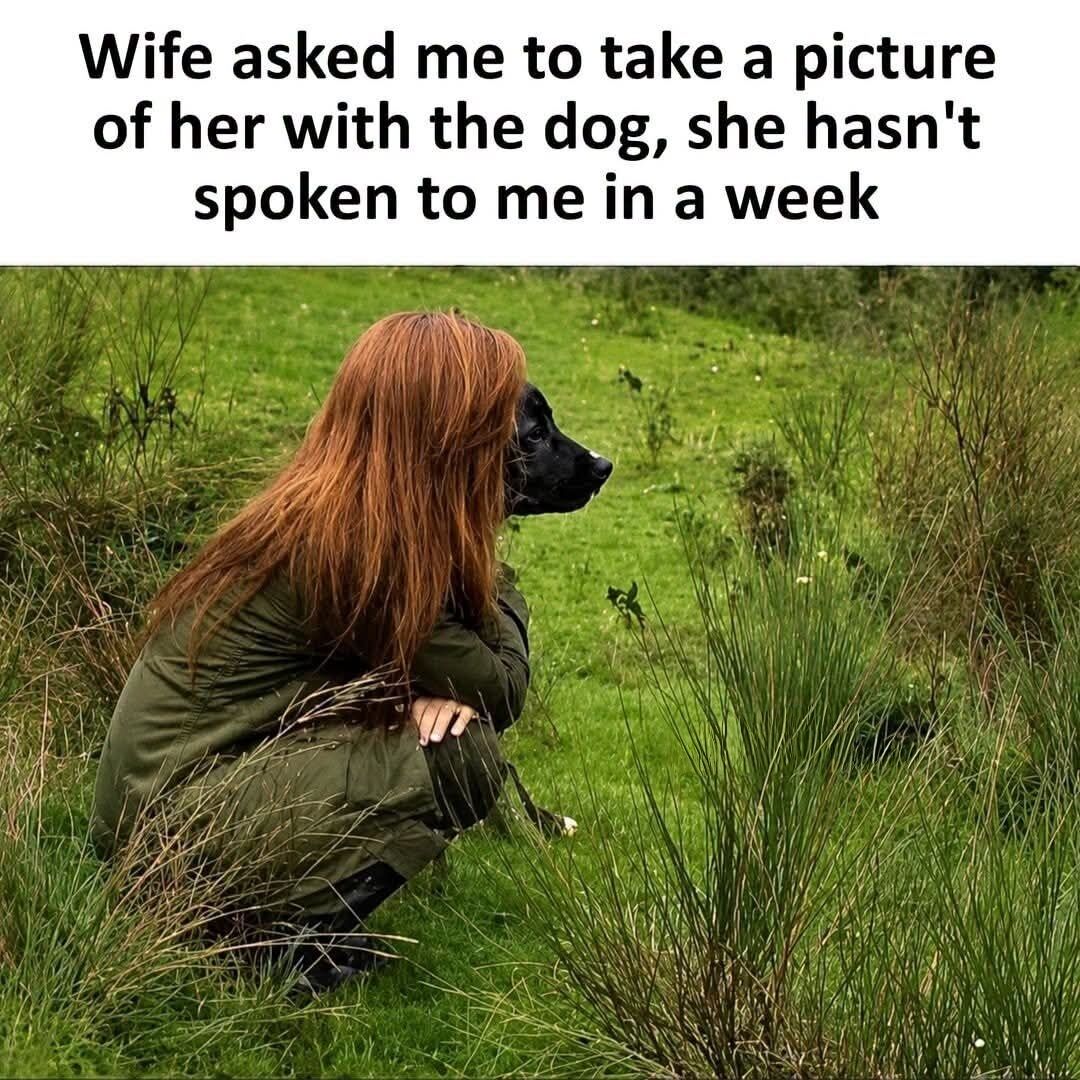 WholesomeMeme's tweet photo. https://t.co/6aSLj7ZJd2