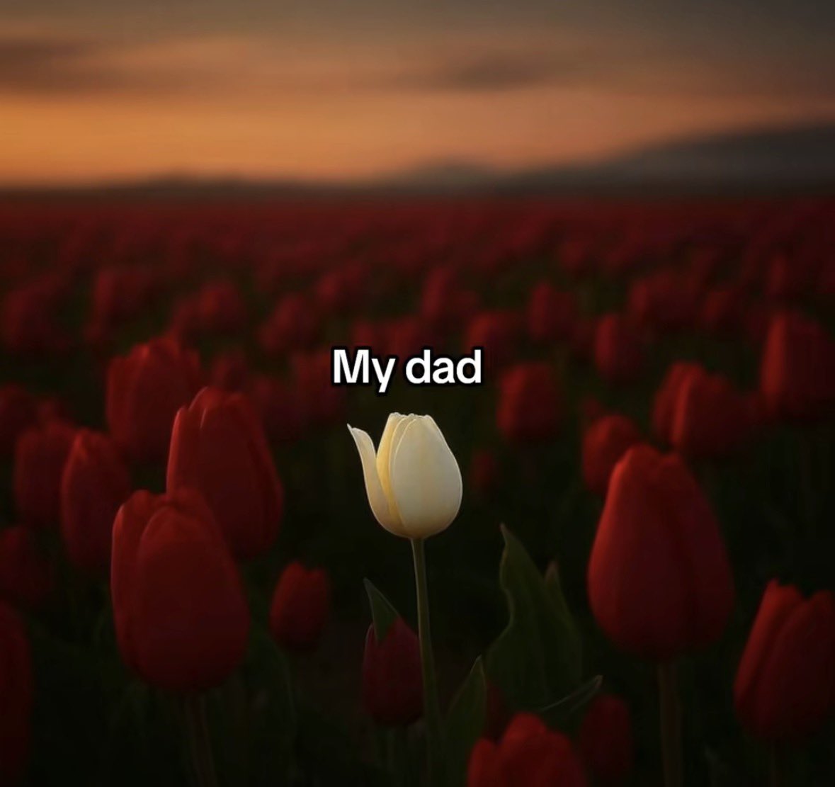 9ixciu's tweet photo. MY DAD 💙 https://t.co/ZDCcgJfIkL
