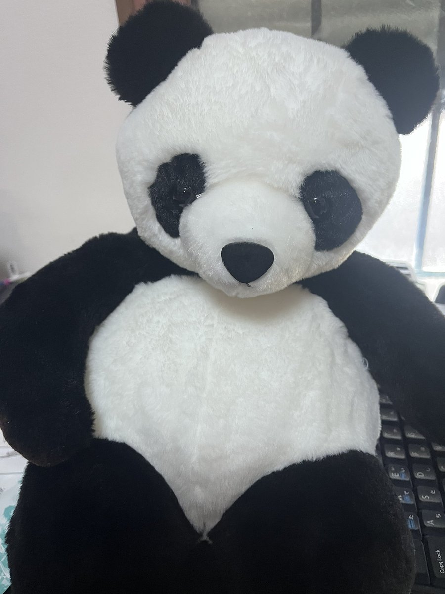 coffelove07's tweet photo. パンダがいない和歌山でパンダのぬいぐるみを買わされた🐼 https://t.co/jl5dl8gtqE
