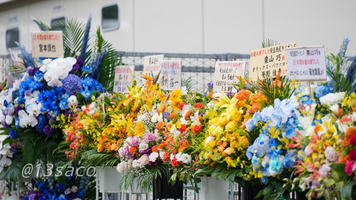 13saco's tweet photo. 栗山さんの引退試合に贈られた祝い花(一部)
2026.8.30
#栗山巧
#seibulions
#栗山さんありがとう https://t.co/CA8myfbn99
