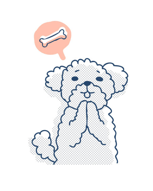 brianricha23264's tweet photo. 桜並木をお散歩する愛犬🌸🐶 季節を感じて元気いっぱい https://t.co/Yz5nw35OOx