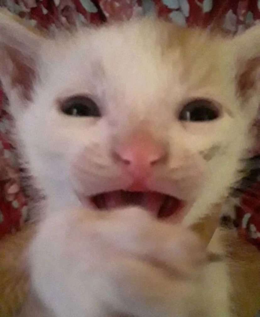 Cursed_ashes tweet picture