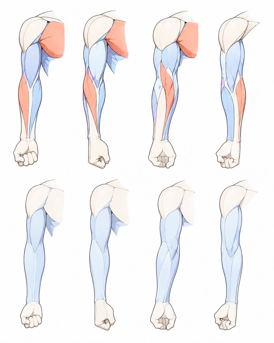LumiCanvass's tweet photo. Same arm, different muscle rhythm https://t.co/fdSv5eXCgF