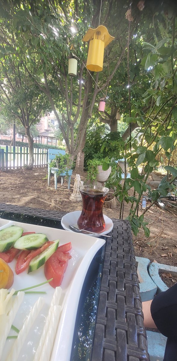 sevimarikann's tweet photo. Bir keyfi hak ediyorum artık. Günaydın. Mutlu sabahlar🌻☘️ https://t.co/igGAuHxk5h