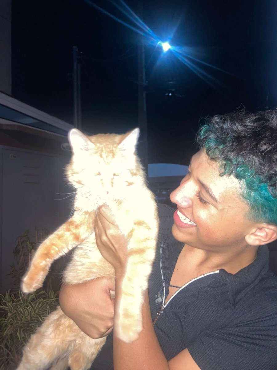 gitaguiga's tweet photo. Vamos parar o mundo, pois este é o gato mais lindo de toda face da terra. https://t.co/Fsagusmnif