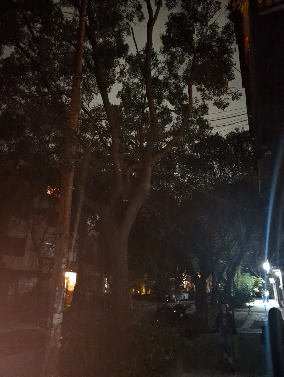 guayo44's tweet photo. Cuántas promesas incumplidas? #poderentusmanos @AlessandraRdlv y @erikayazminrg ? No una luminaria sirve. Pero te gastaste 6mdp pavimentando 170 mts https://t.co/DJ0wOUIZgB