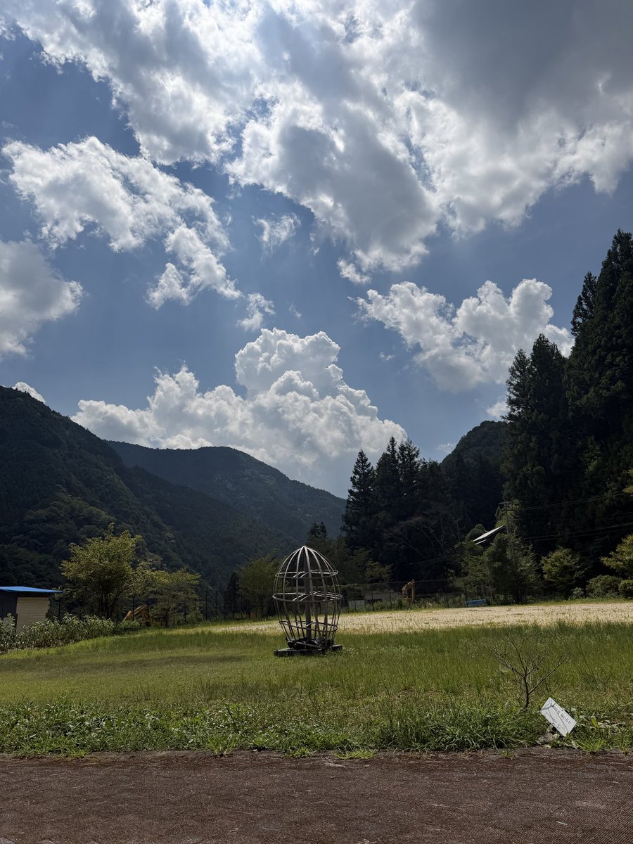 naoteru's tweet photo. トトロ骨 https://t.co/PBscBPGvRe