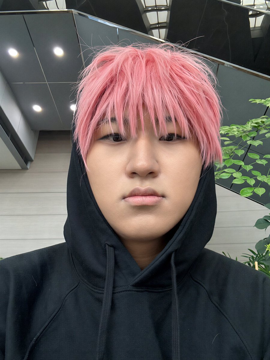 x_x____b's tweet photo. 일페왔어요… 타몬했어요…. https://t.co/pzQmt8kOCp