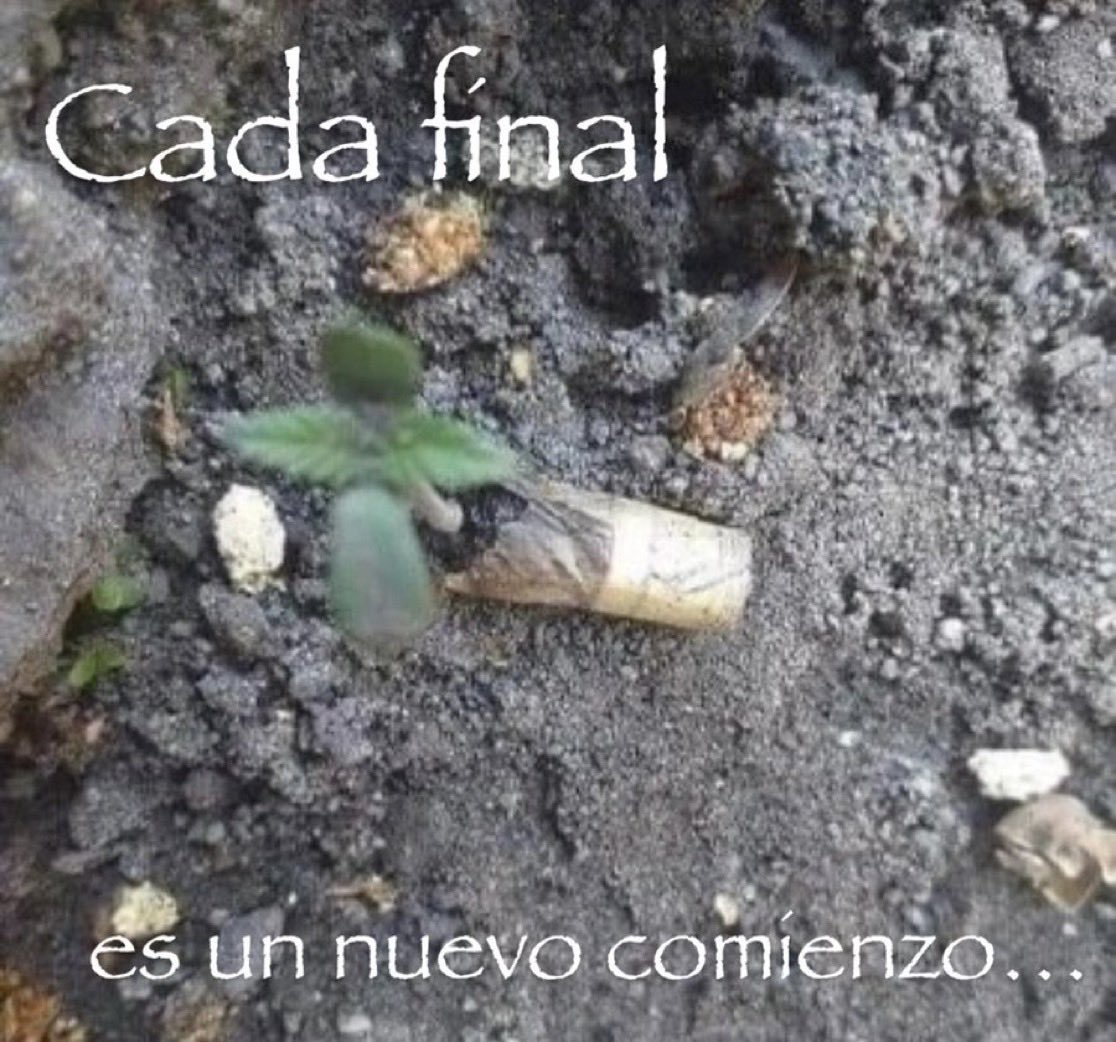 FernetDcio's tweet photo. lpm e tan aci https://t.co/M1qod3nRFt