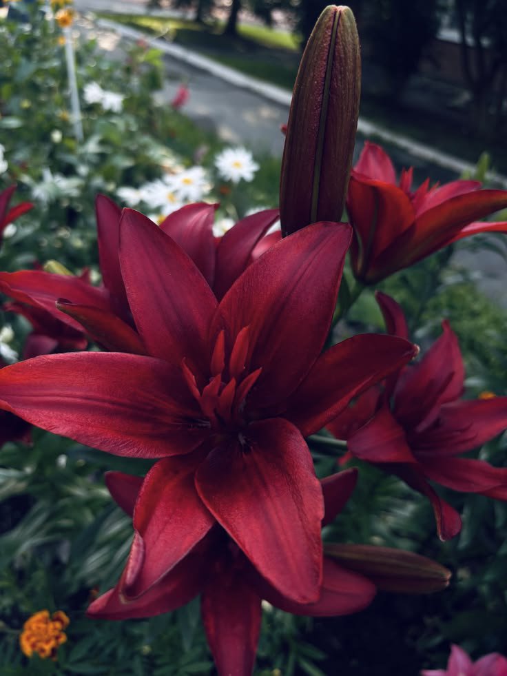 ylleynad's tweet photo. como o pinterest me vê

Musica
Personagem
Cantor
Flor https://t.co/s4V2Y34kdh