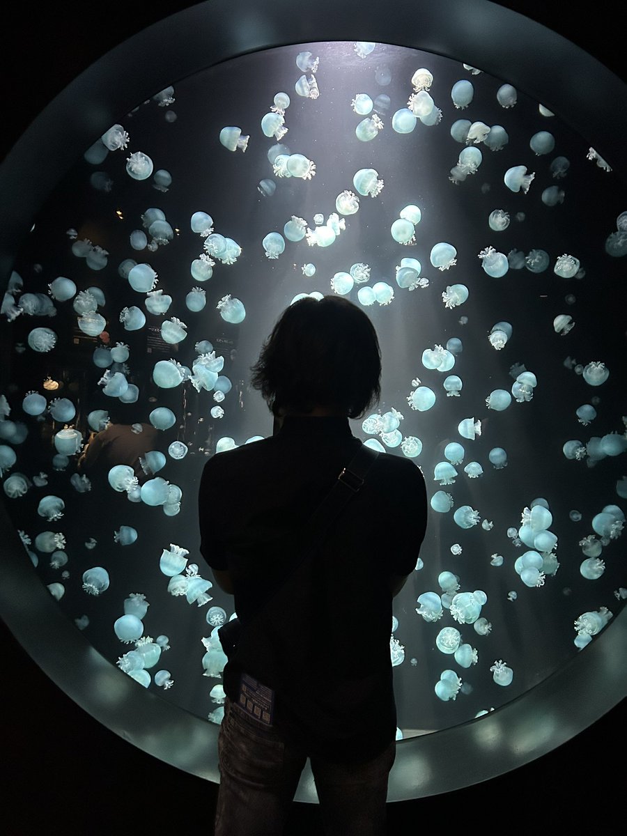 sato_hiromichi's tweet photo. 久しぶりに山形県の鶴岡市立加茂水族館に行って来ましたぁ〜(^^)
癒されたぁ〜♡ https://t.co/ki6zIKQExw