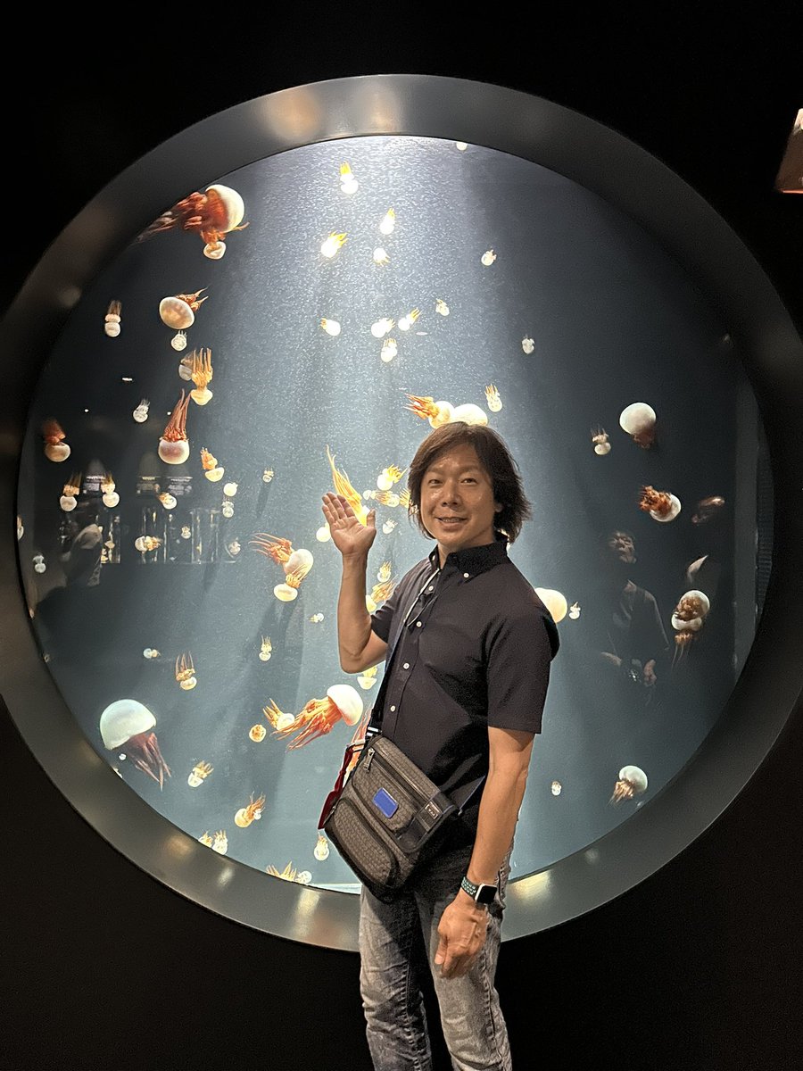 sato_hiromichi's tweet photo. 久しぶりに山形県の鶴岡市立加茂水族館に行って来ましたぁ〜(^^)
癒されたぁ〜♡ https://t.co/ki6zIKQExw
