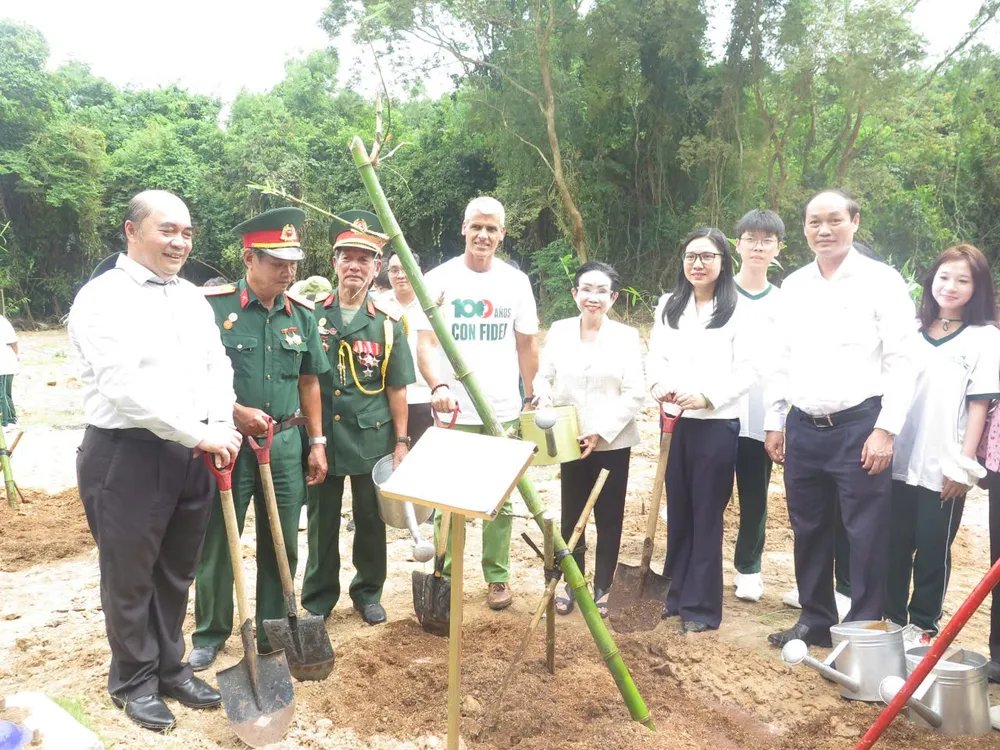 RPolancoF's tweet photo. Inaugurado en Vietnam el "Jardín de Bambú Fidel Castro", en conmemoración del centenario del natalicio del Comandante en Jefe.

La iniciativa fue promovida por la Asociación de Amistad Vietnam-Cuba de Ciudad Ho Chi Minh, en coordinación con el Sitio Histórico de los Túneles de Cu Chi.

Los organizadores convocaron a plantar cien árboles de bambú en homenaje al Líder Histórico de la Revolución cubana.

En la ceremonia, la Dra. Truong Thi Hien, presidenta de la Asociación de Amistad Vietnam-Cuba de Ciudad Ho Chi Minh, dijo que el bambú fue elegido por ser una imagen familiar, que representa la vitalidad, la resiliencia y la solidaridad del pueblo vietnamita.

Por su parte, el cónsul general de Cuba en Ciudad Ho Chi Minh, Mauricio Alejandro Martínez Duque, agradeció la iniciativa y destacó que los túneles de Cu Chi son un símbolo de la voluntad, el espíritu de lucha y el ingenio del pueblo vietnamita durante la guerra.

Los cien árboles de bambú plantados se convertirán en un nuevo signo emblemático de la continuidad histórica y la amistad entre #Vietnam y #Cuba.